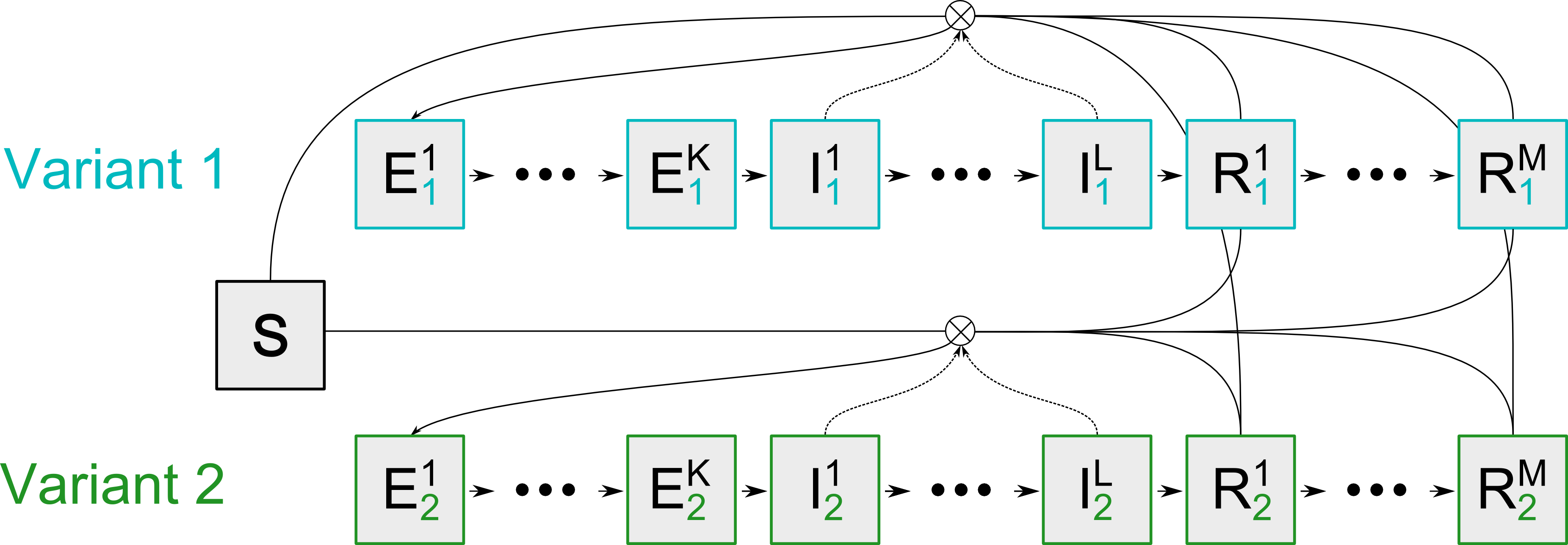 SEIR model overview for a two variant model